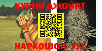 apvp Гатчина